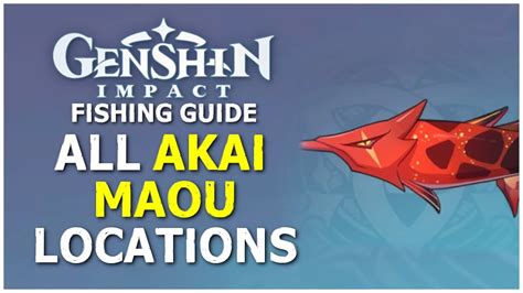 akai fish|How to Find and Catch an Akai Maou .